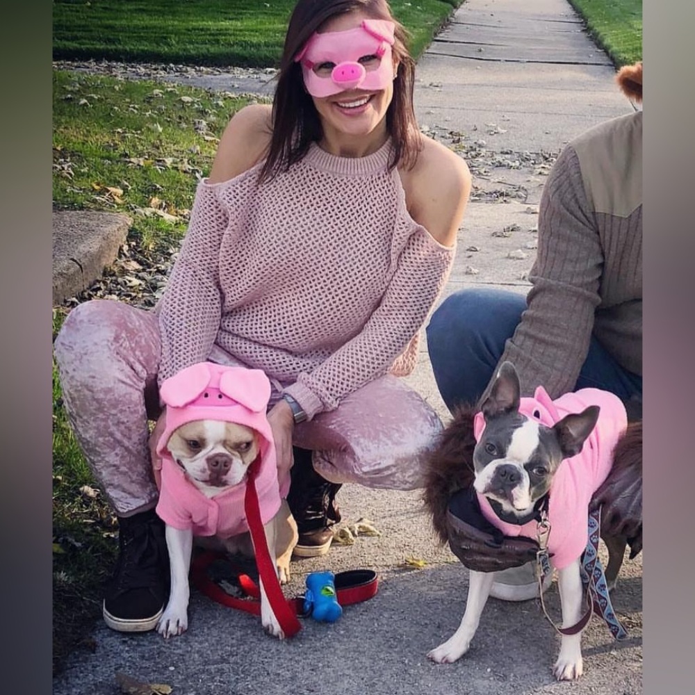 Pink Pig Dog Hoodie Costume